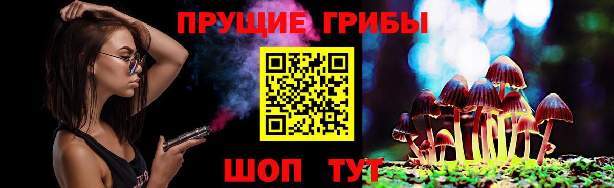 Псилоцибиновые грибы мухоморы  Вход с VPN  Псилоцибиновые грибы Cubensis  Черногорск 